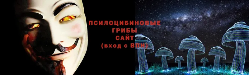 Галлюциногенные грибы Cubensis Долинск